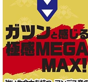メガマックスマカ6600